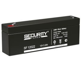 Security Force