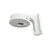 Кронштейн CamBox DM-121 Dome Bracket WHT