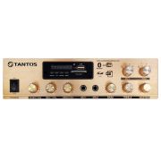 Усилитель TSo-AA30M трансляционный 30 Вт, 100В, 2 зоны, USB, FM-тюнер, Bluetooth-4.2, mp3, 2 микроф