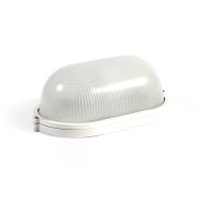 Светильник SKAT LED-220 E27 IP54 аварийного освещения